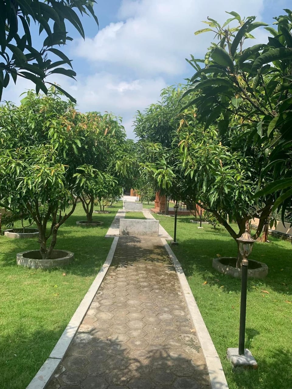 Garden