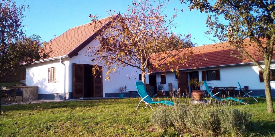 Bencze Pincze Badacsony Hill House in Hungary