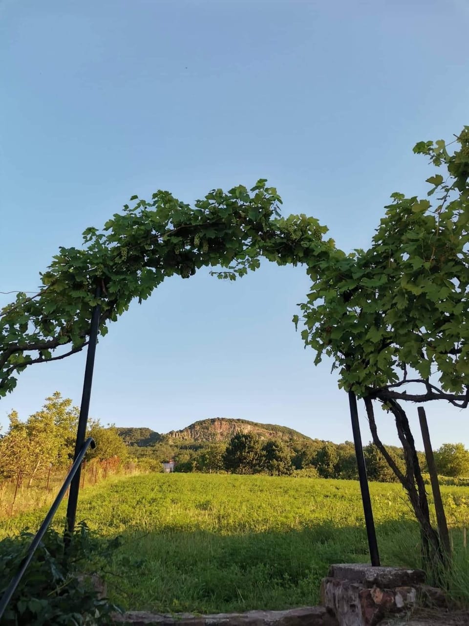 Bencze Pincze Badacsony Hill House in Hungary