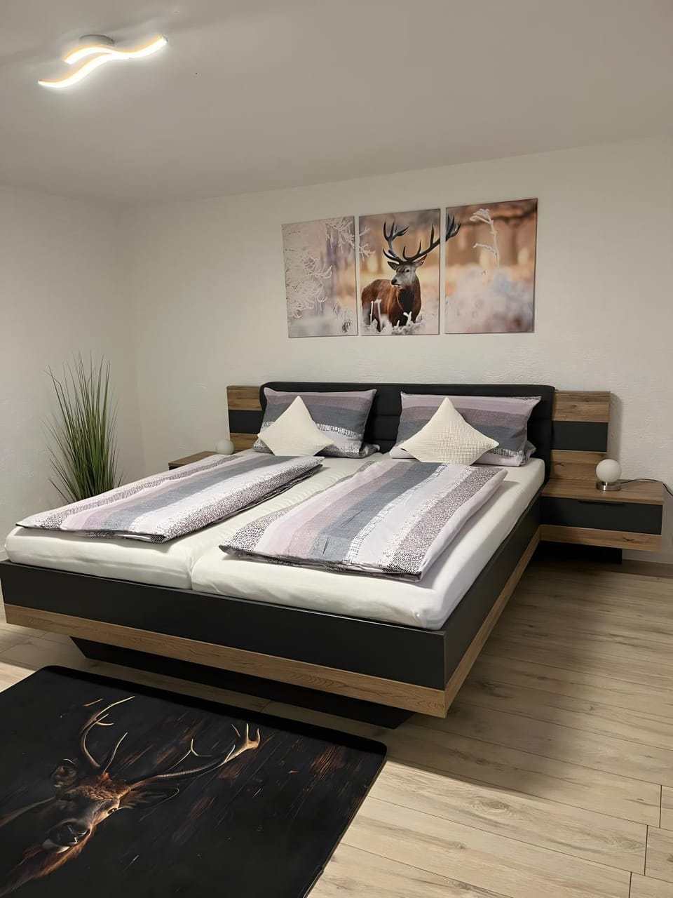 Living room, Bedroom