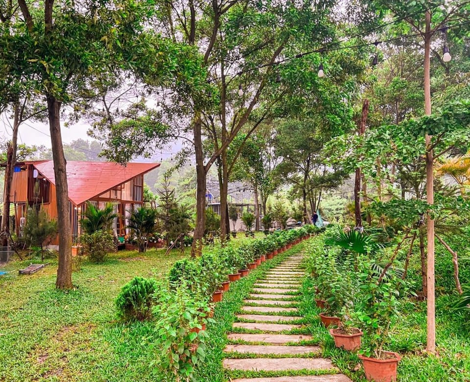 Property building, Garden, Garden view