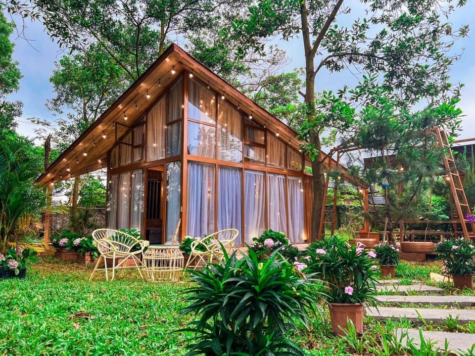 Property building, Garden, Garden view