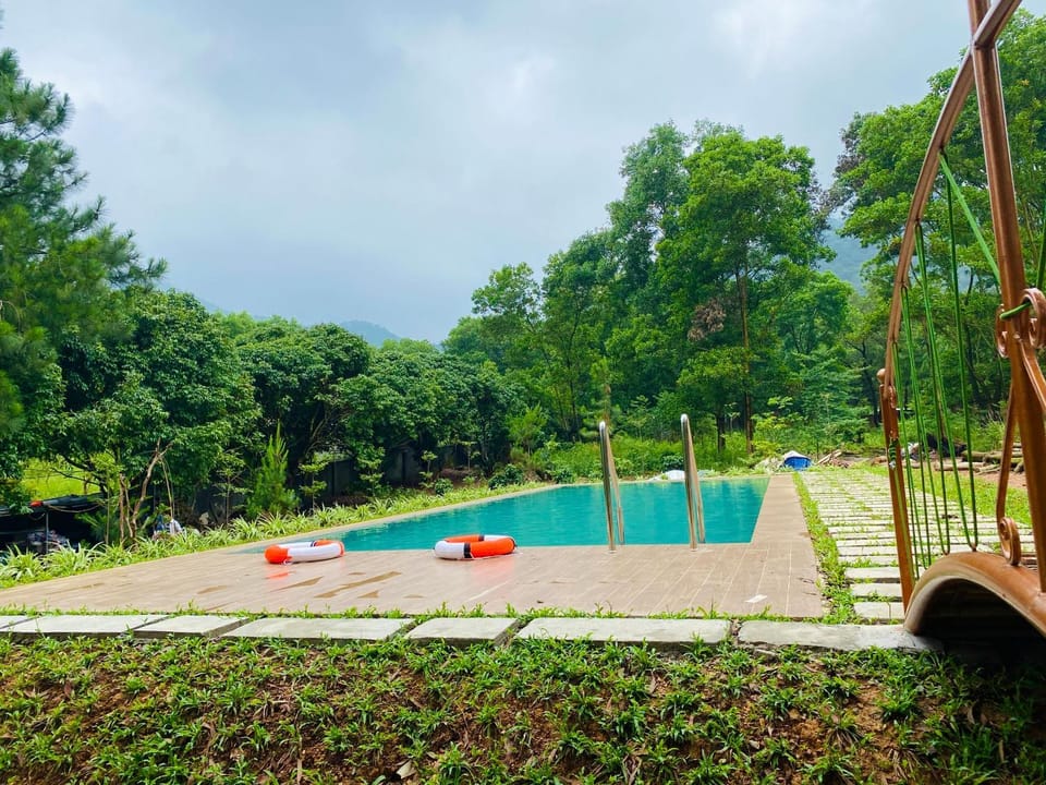 Garden, Pool view, Swimming pool