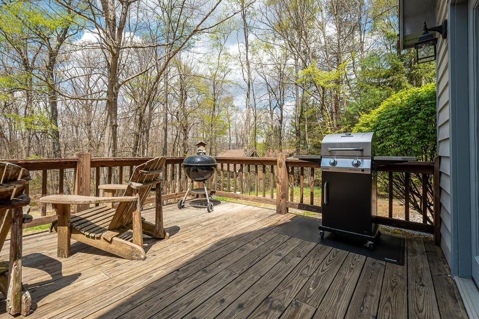 Patio, BBQ facilities, Garden, Garden view