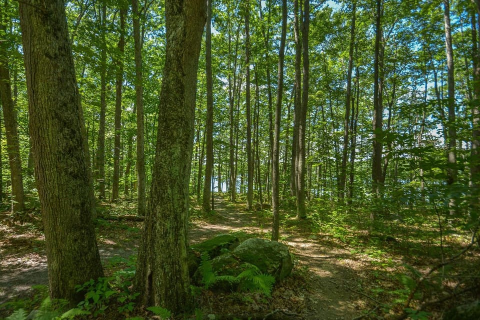Natural landscape, Hiking, Garden view