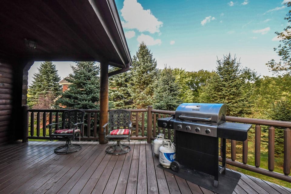 Patio, BBQ facilities, Garden, Garden view