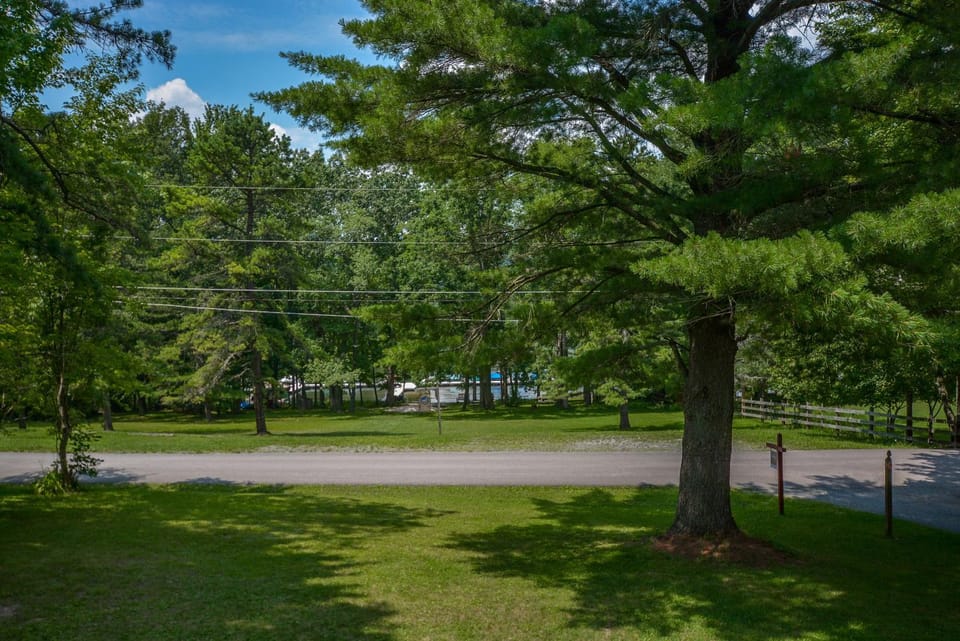 Neighbourhood, Natural landscape, Garden, Parking