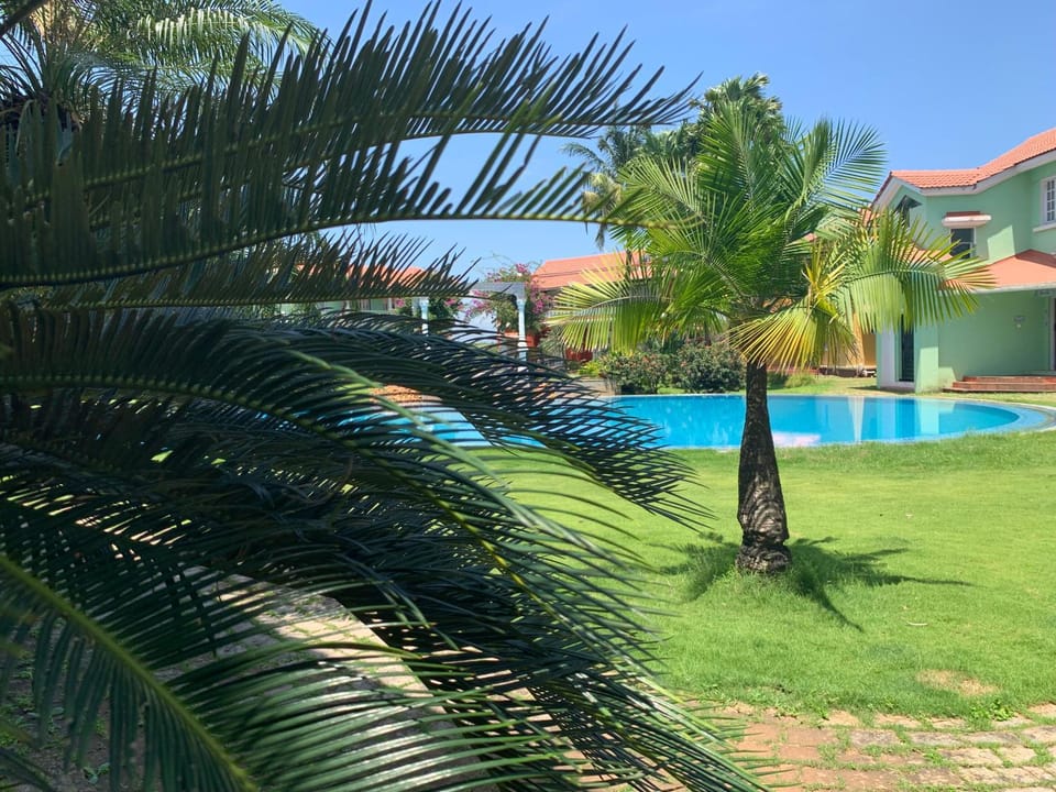 Day, Swimming pool