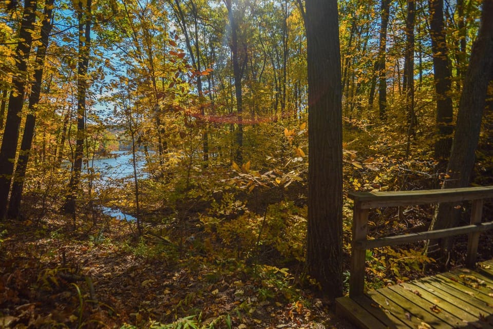 Natural landscape, Garden, Garden view, Lake view