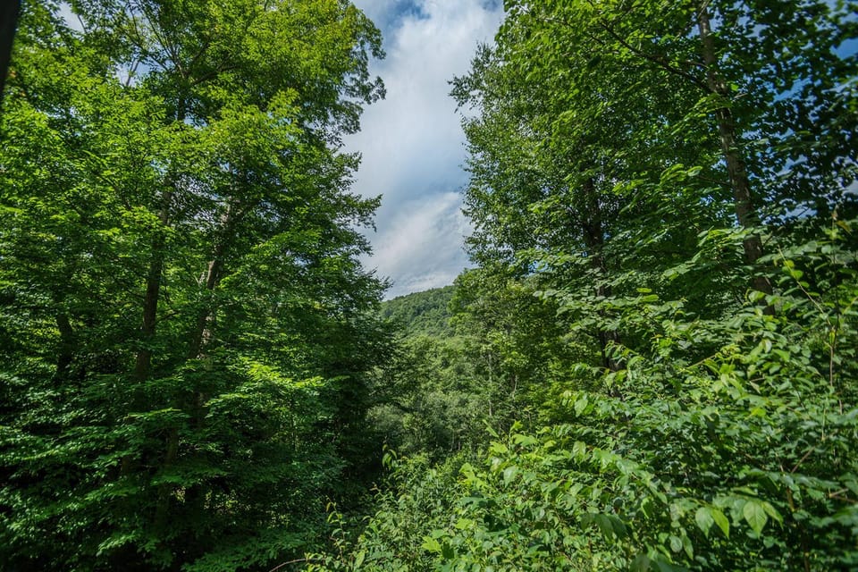 Canopy Escape House in Garrett County