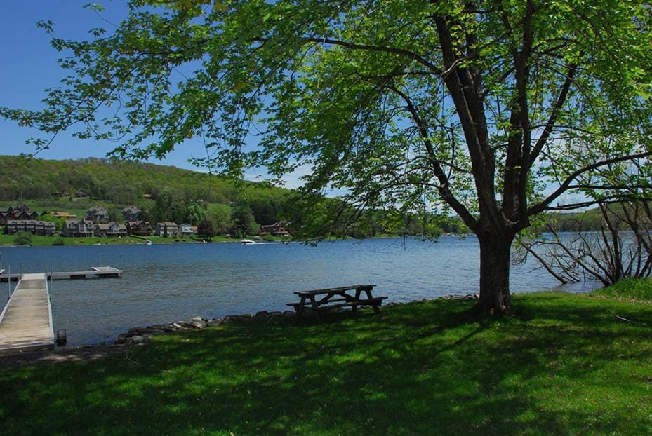 Natural landscape, Garden, Lake view