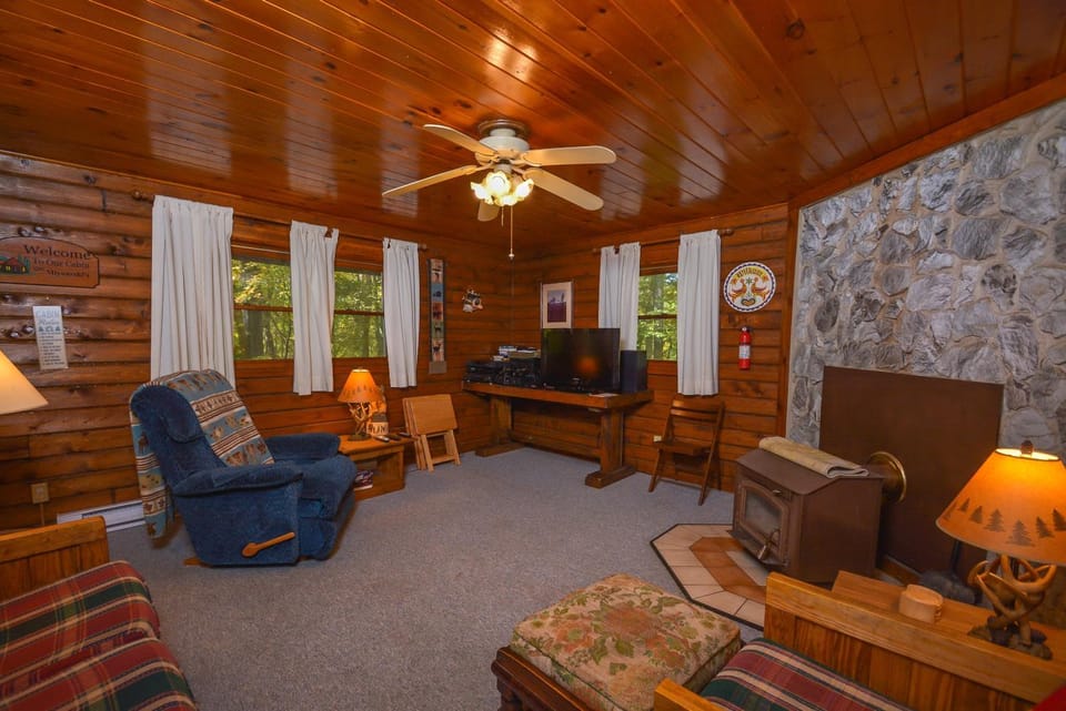 TV and multimedia, Living room, Seating area, Garden view, fireplace, furniture