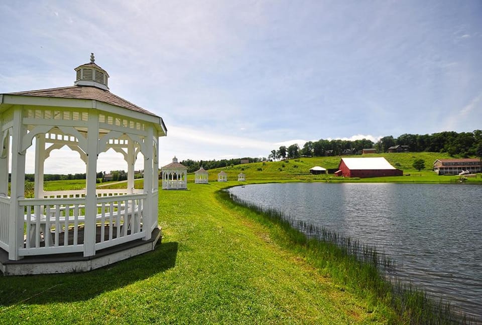 Natural landscape, Garden, Seating area, Area and facilities