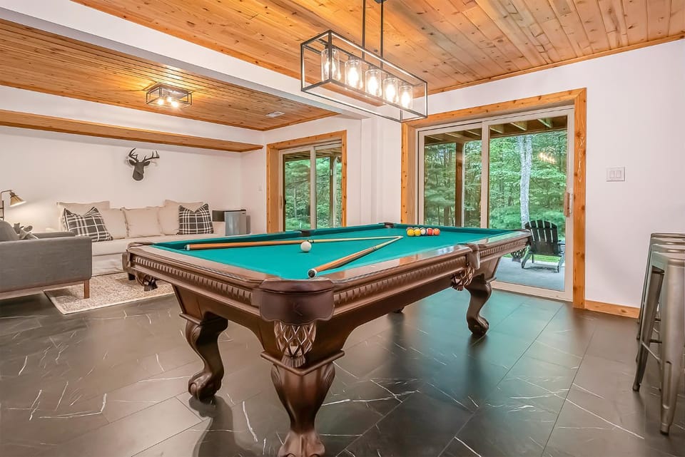 Billiard, Game Room, Seating area, Garden view, furniture