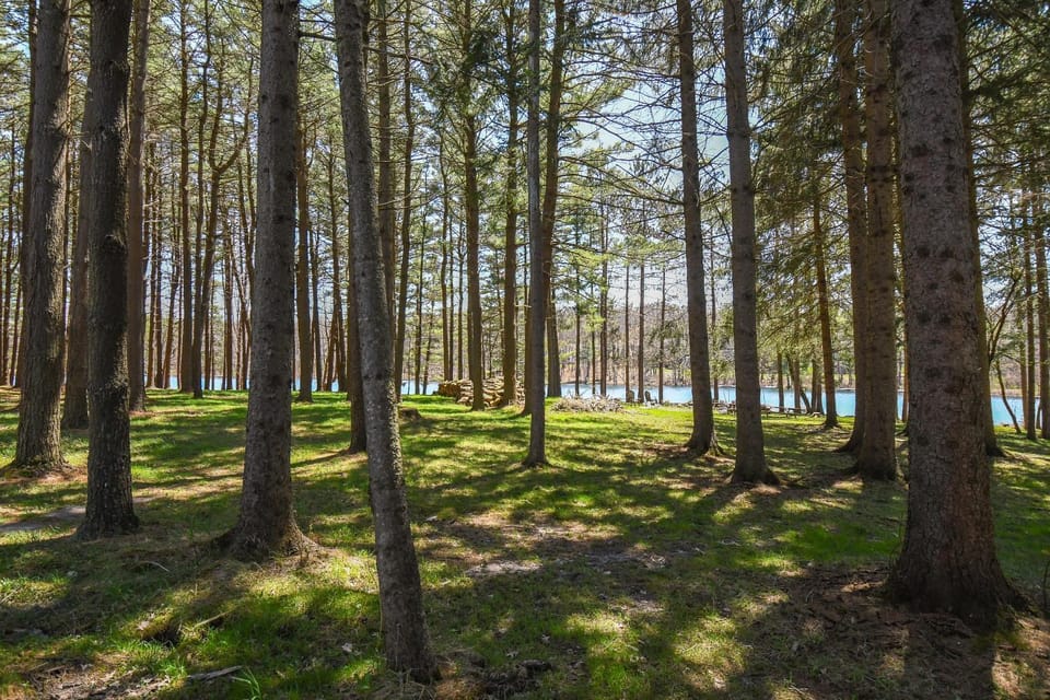 Natural landscape, Garden, Lake view