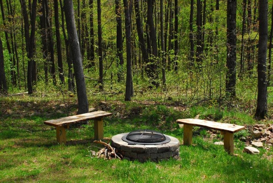 Natural landscape, Garden view, fireplace