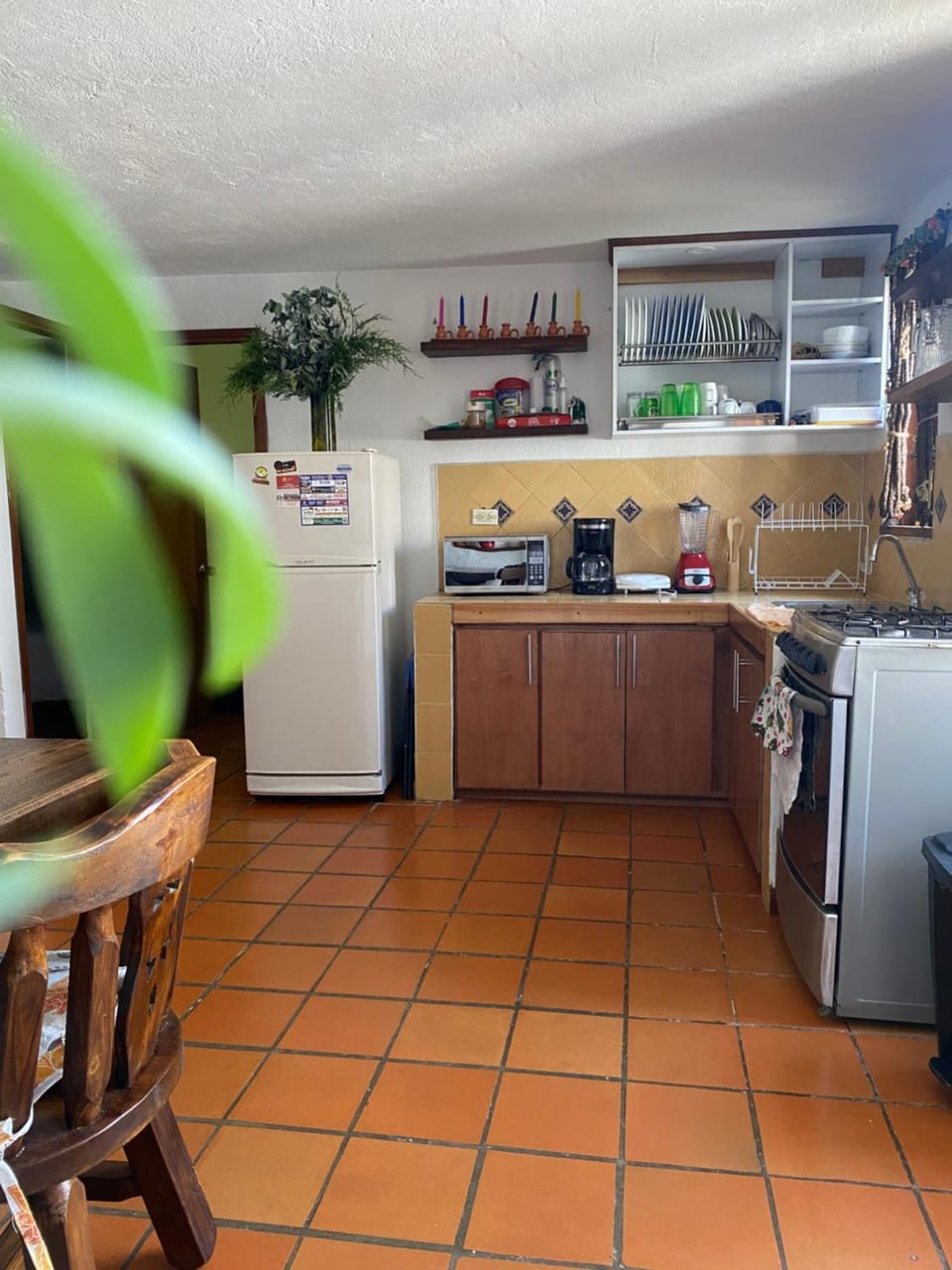 Communal kitchen