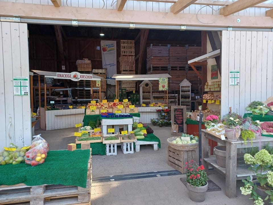 Ferienwohnung am Elbstrom Apartment in Stade