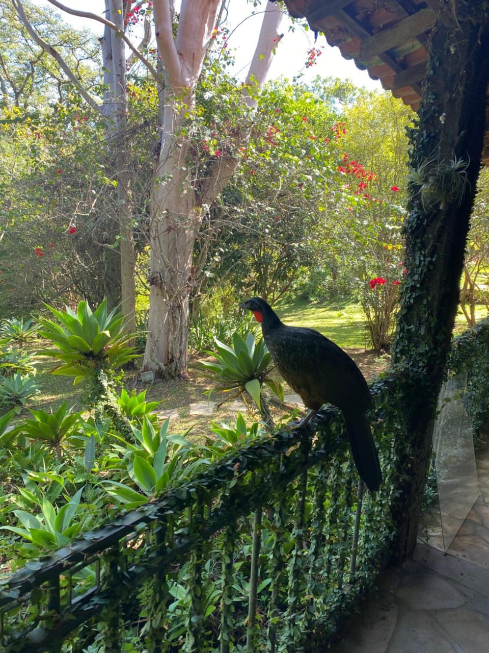 Pousada Flor de Íris Bed and Breakfast in State of Rio de Janeiro