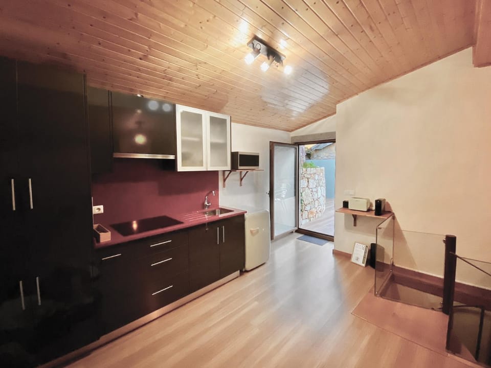 Kitchen or kitchenette, minibar, stove