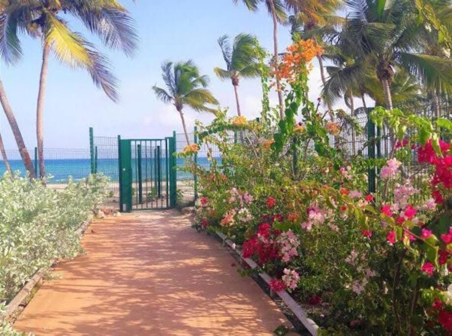 Nearby landmark, Natural landscape, Beach, Garden view, Sea view