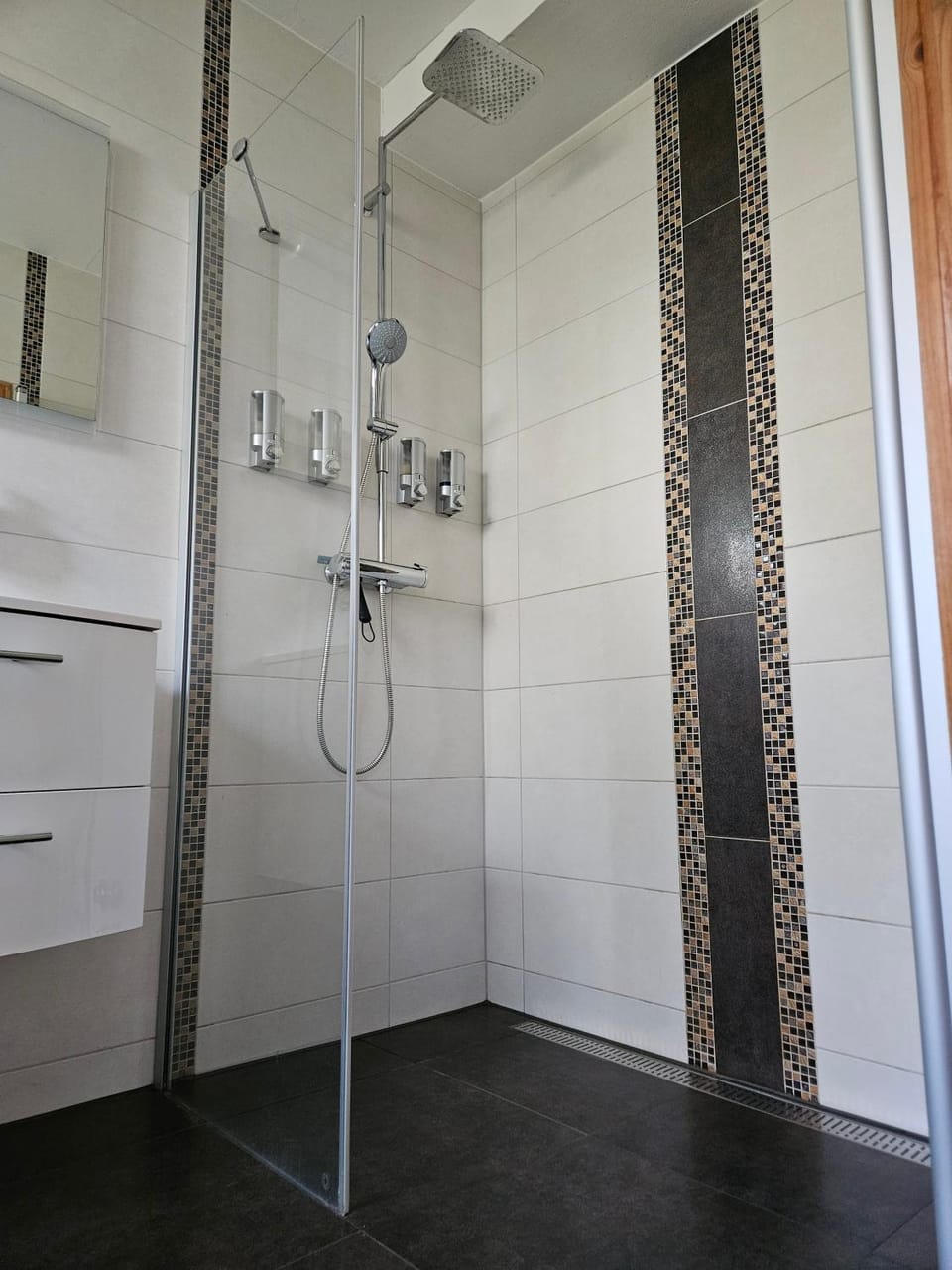 Bathroom, Living room