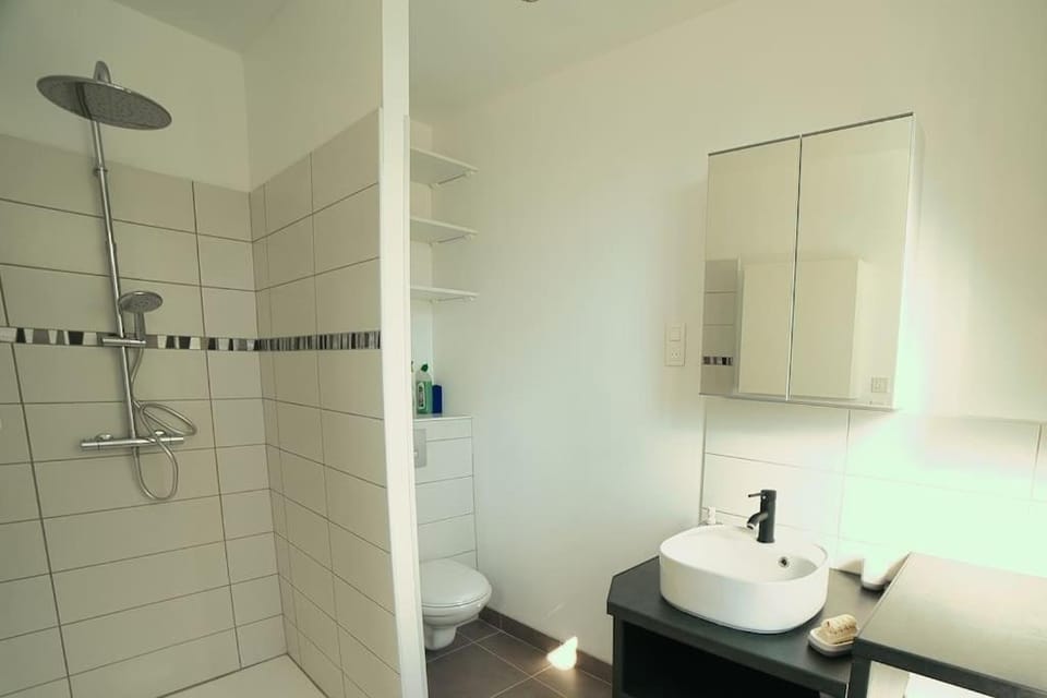 Shower, Toilet, Bathroom, towels