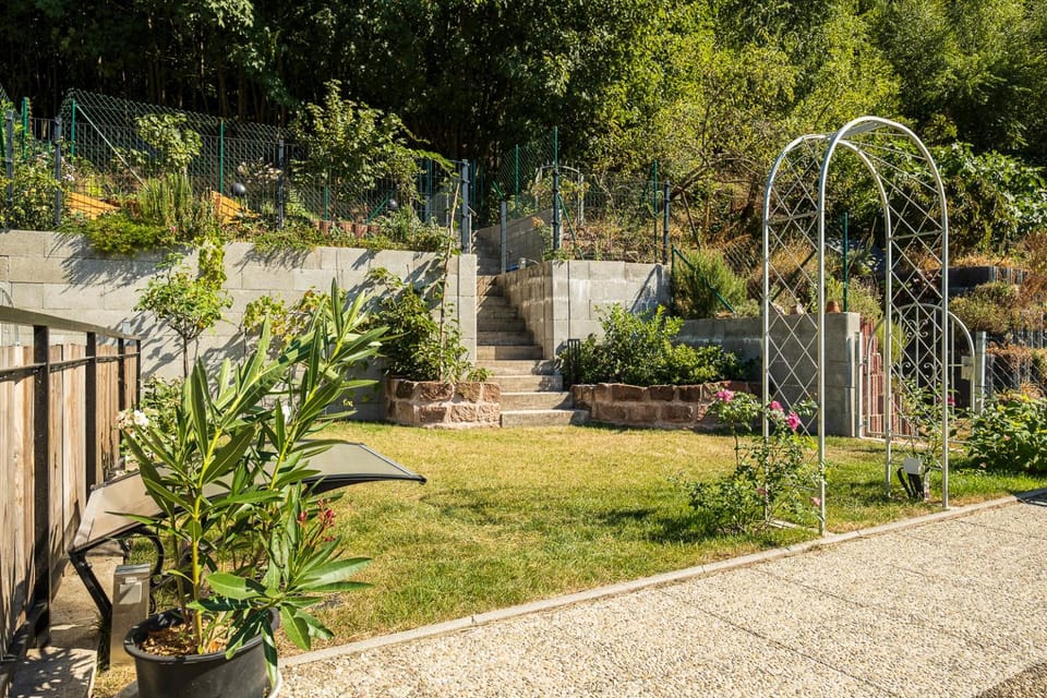 Garden view