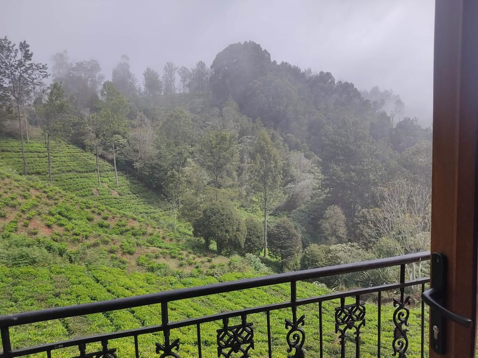 View (from property/room), Mountain view