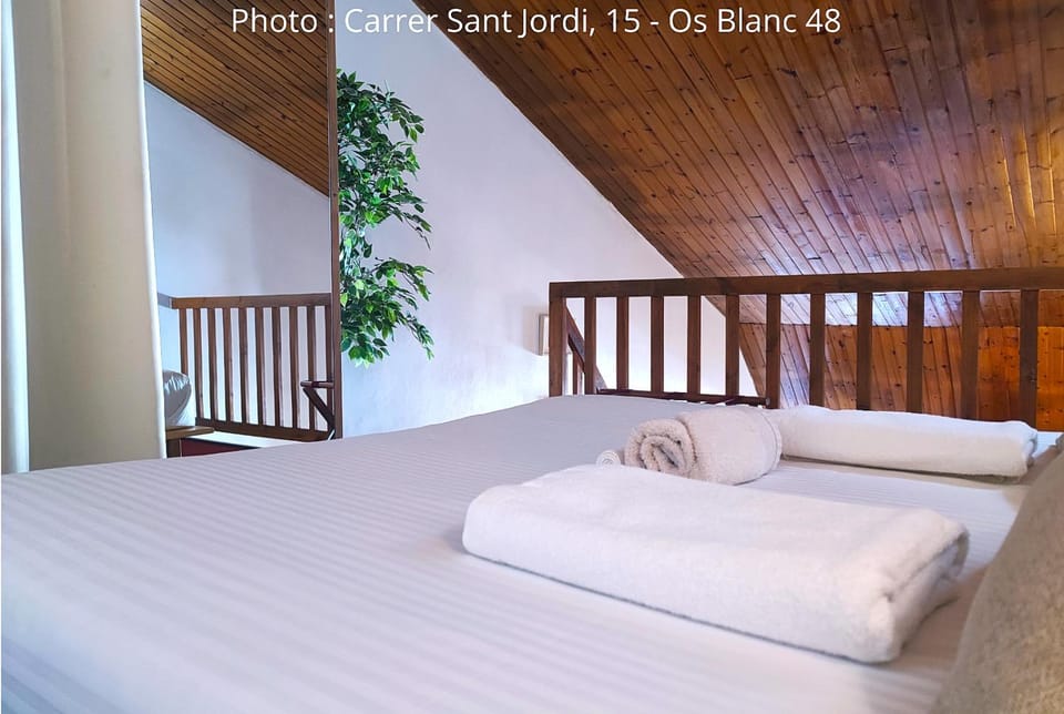 Duplex Holidays Andorra Apartment in El Pas de la Casa