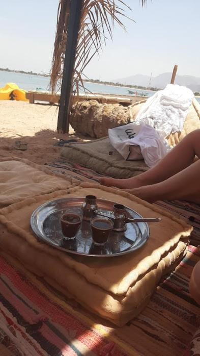 صبابا كامب sababa camp Campground/ 
RV Resort in South Sinai Governorate