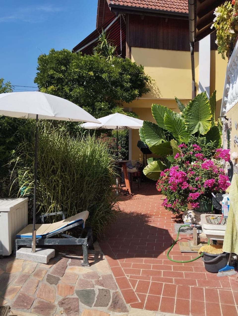 Garden view