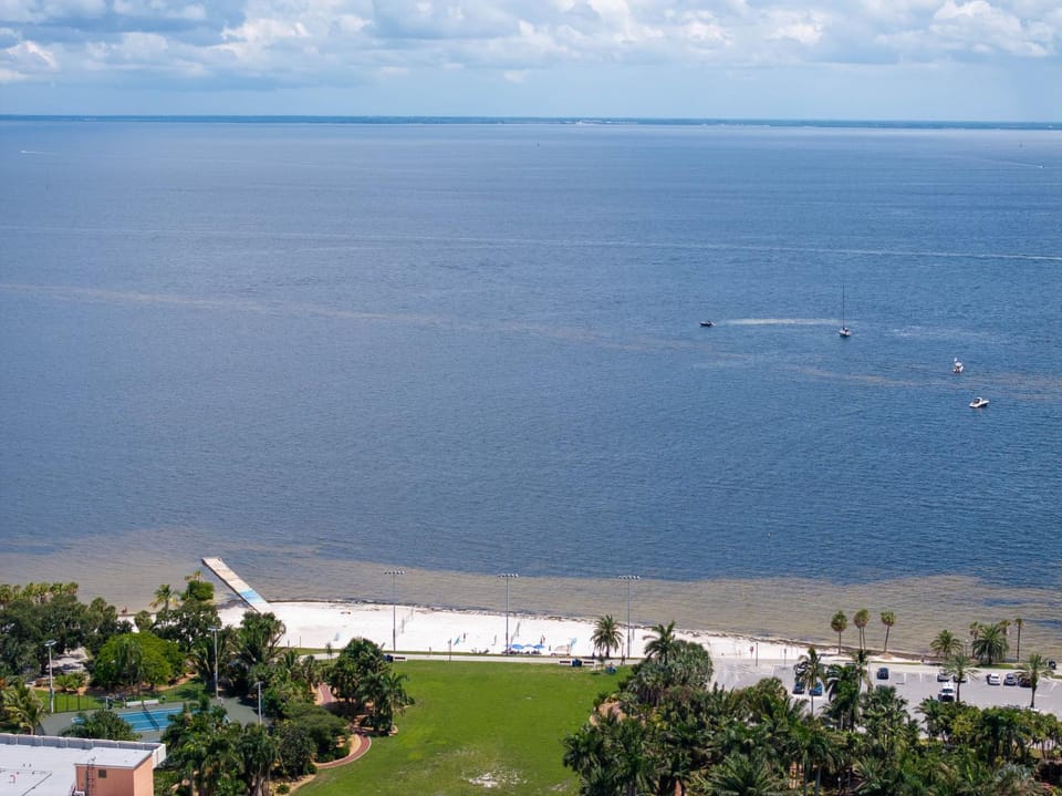Sea view