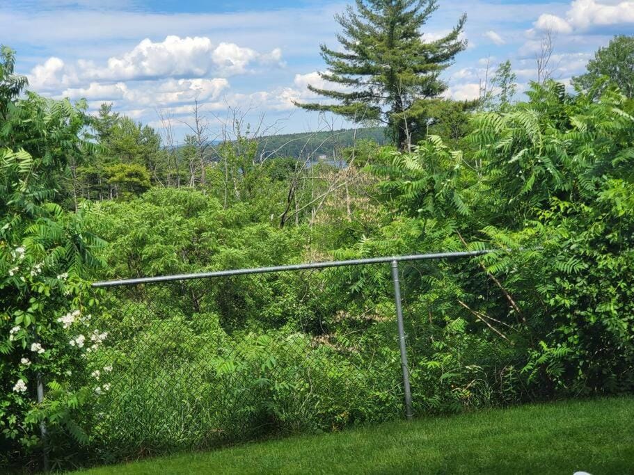 Cute 2 bdrm Condo walking distance to Weirs Beach! Apartment in Laconia