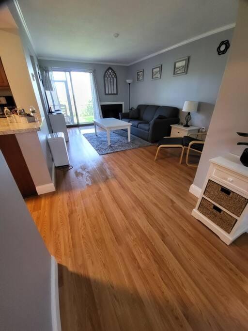 Cute 2 bdrm Condo walking distance to Weirs Beach! Apartment in Laconia