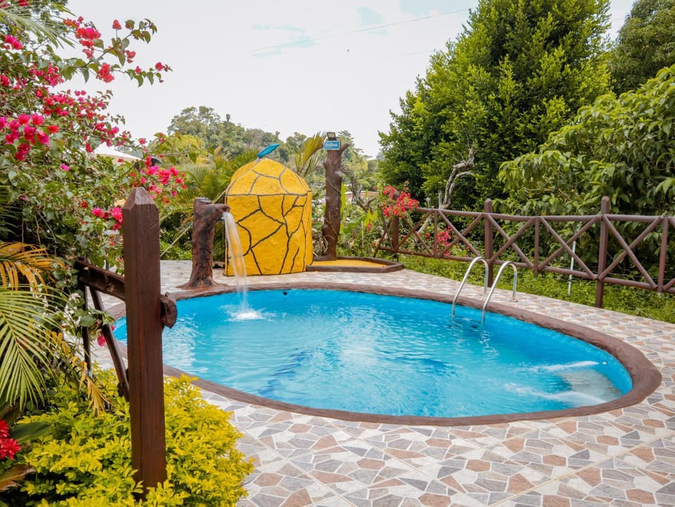 Swimming pool