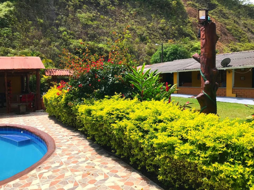 Property building, Natural landscape, Pool view