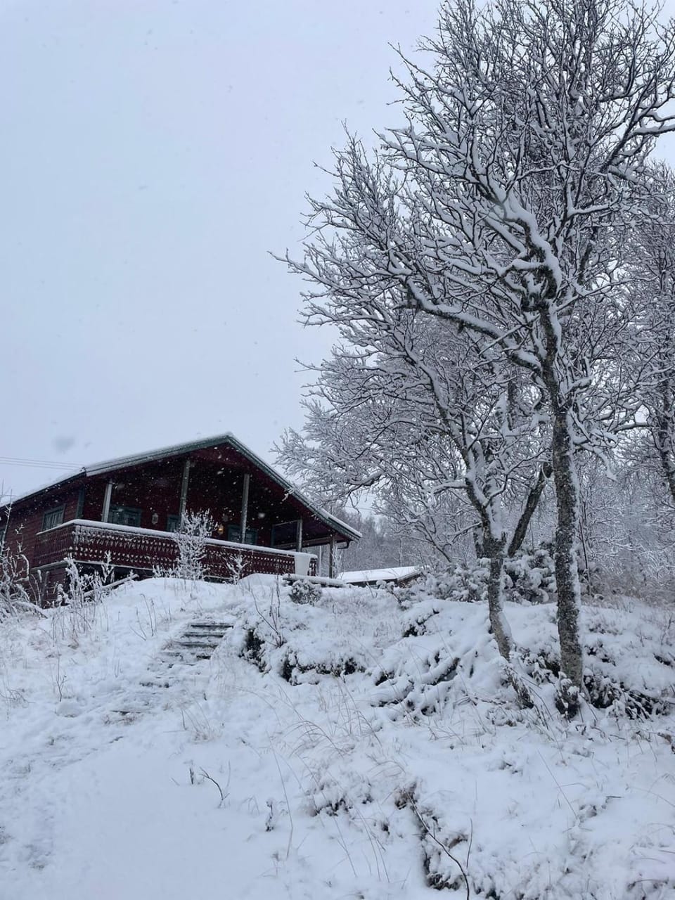 Day, Natural landscape, Winter