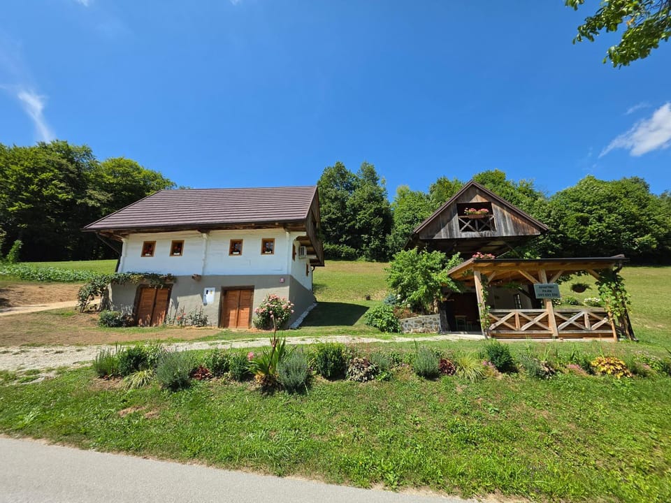 Apartments Pajek & Pajcevina on the Hayrack Chalet in Slovenia