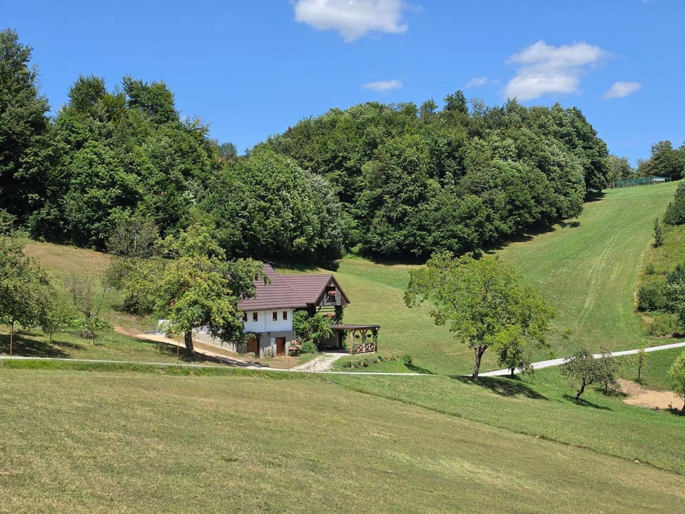 Apartments Pajek & Pajcevina on the Hayrack Chalet in Slovenia
