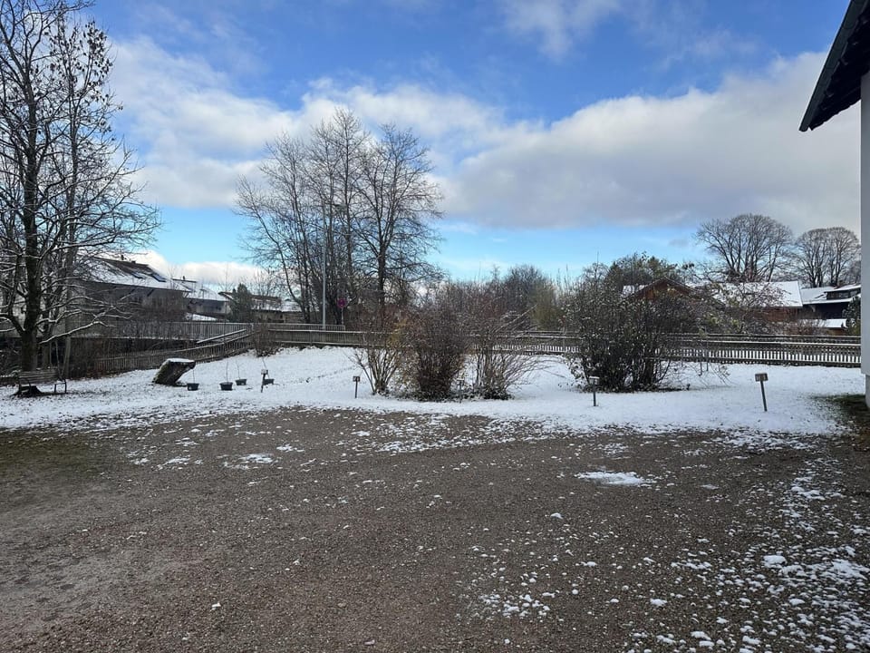 Day, Natural landscape, Winter