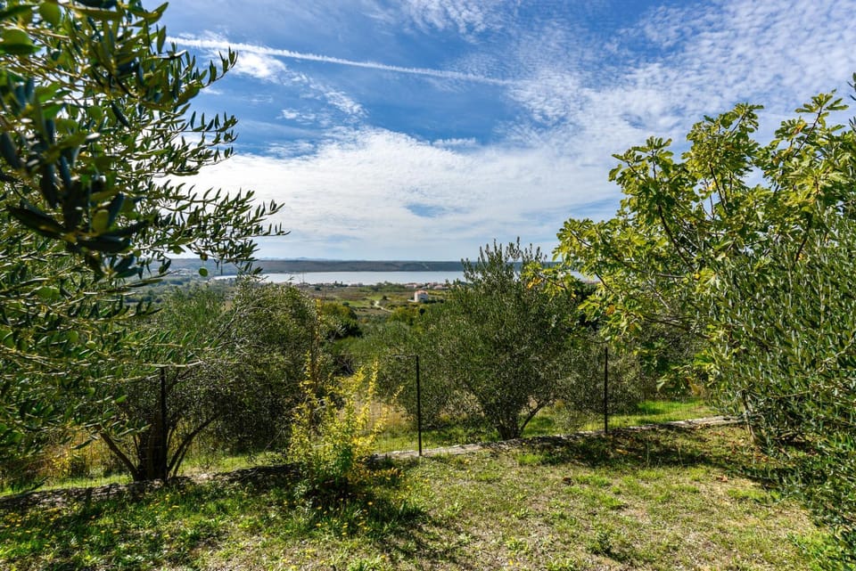 Wohnung für 5 Personen mit Privatsphäre Apartment in Zadar County