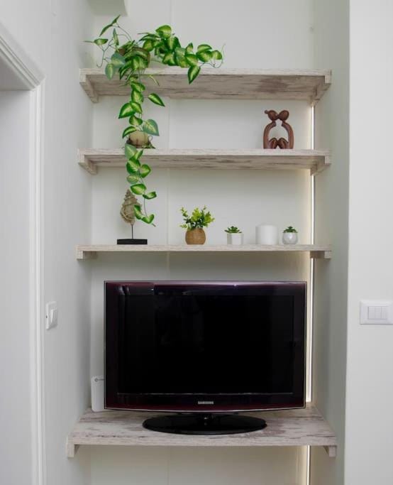 TV and multimedia