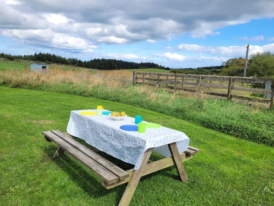 The Shepherds Hut at Forestview Farm Bed and Breakfast in Northern Ireland