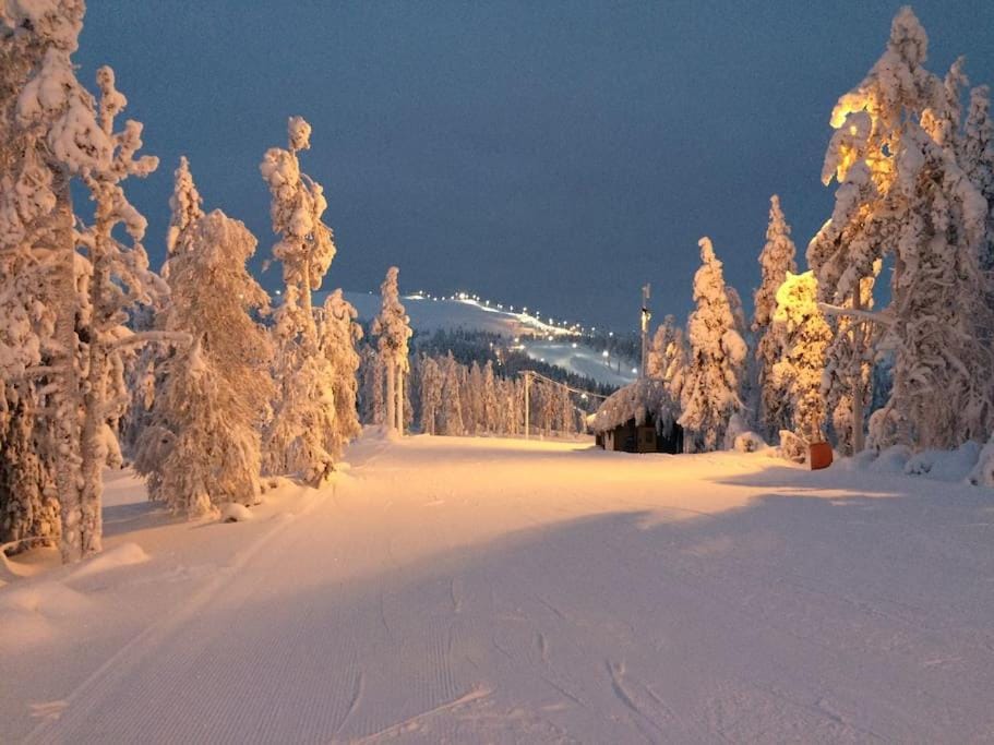 Natural landscape, Winter
