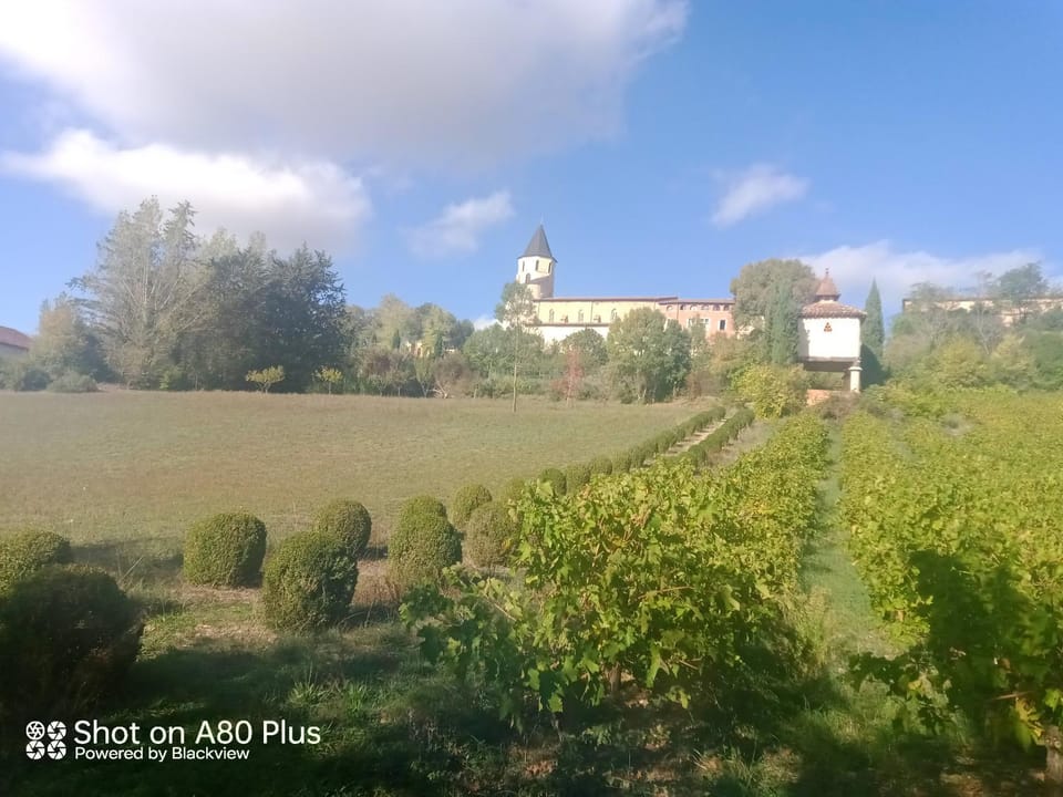 La villa Apartment in Occitanie