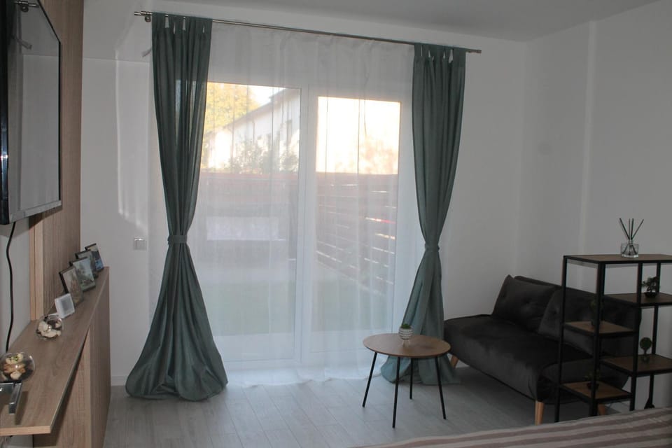 Studio cu grădina proprie Apartment in Bucharest