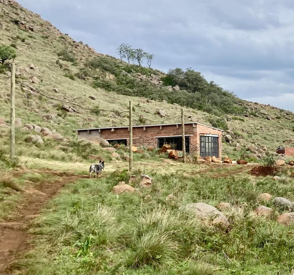 Property building, Mountain view