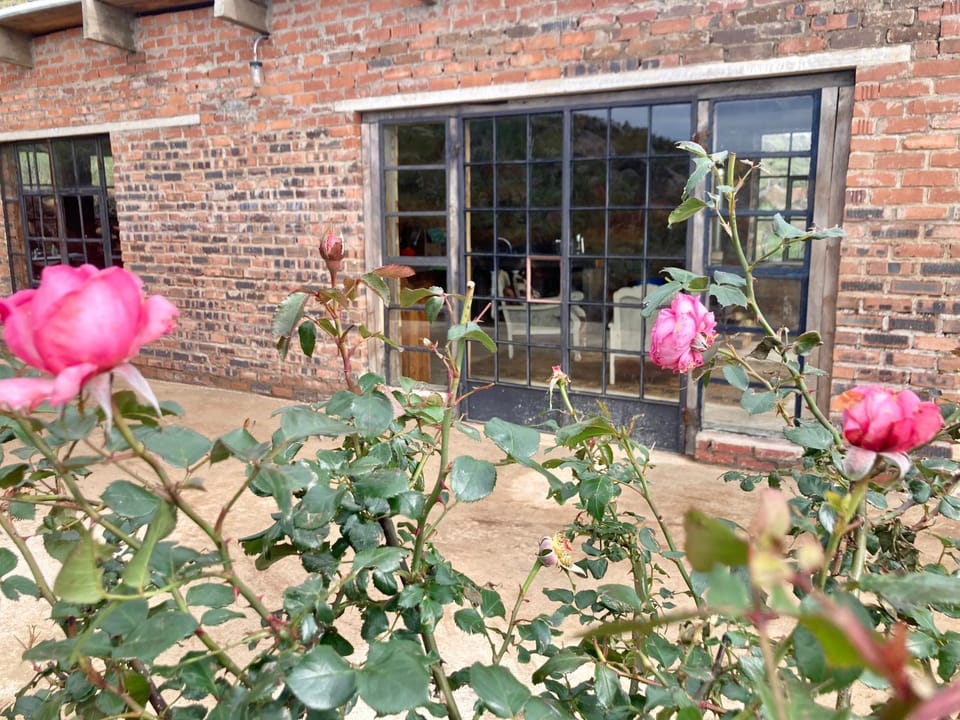 Property building, Garden view