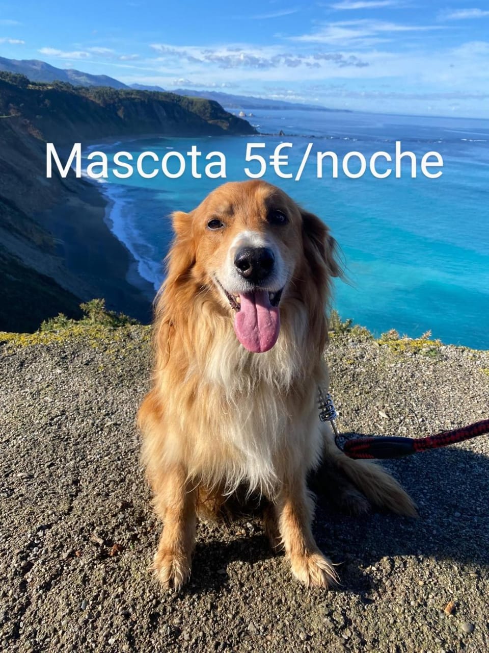 El Desván del Chisco Apartment in Asturias